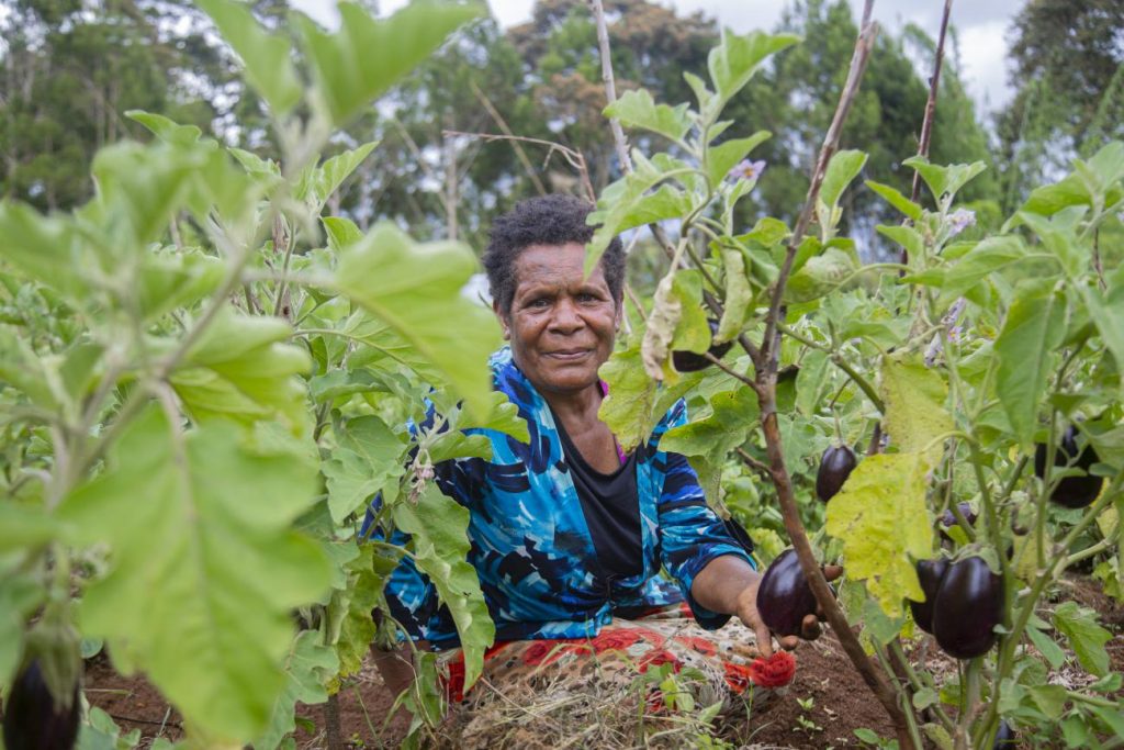 PNG woman farmer